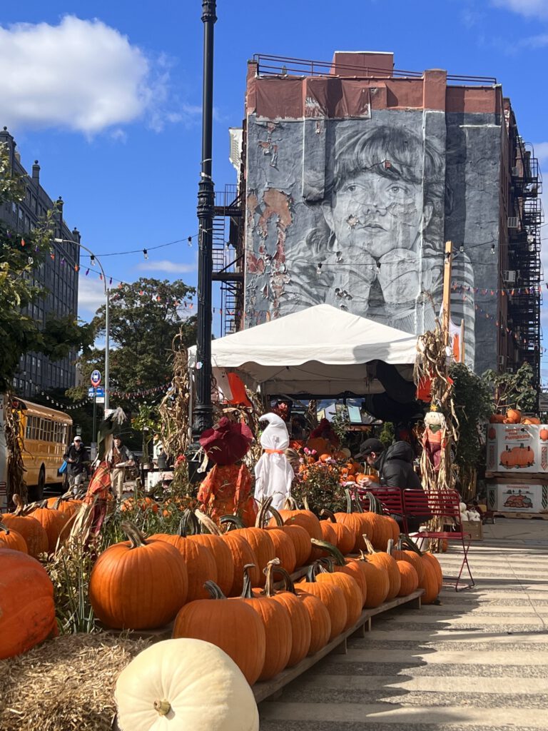 Street Art Williamsburg Stedentrip New York met vriendinnen